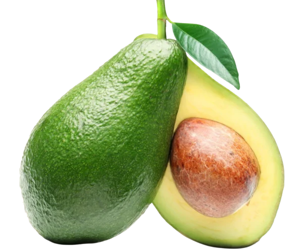 avakado-candan organik